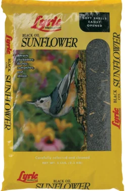 BLACK OIL SUNFLOWER 5#