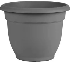 Bloem 10 in. Dia. Polyresin Ariana Planter Charcoal