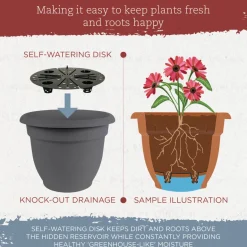 Bloem 10 in. Dia. Polyresin Ariana Planter Charcoal