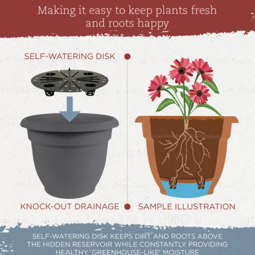 Bloem 10 in. Dia. Polyresin Ariana Planter Charcoal