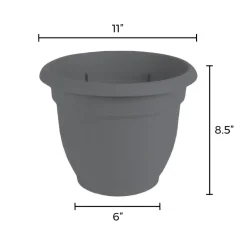 Bloem 10 in. Dia. Polyresin Ariana Planter Charcoal