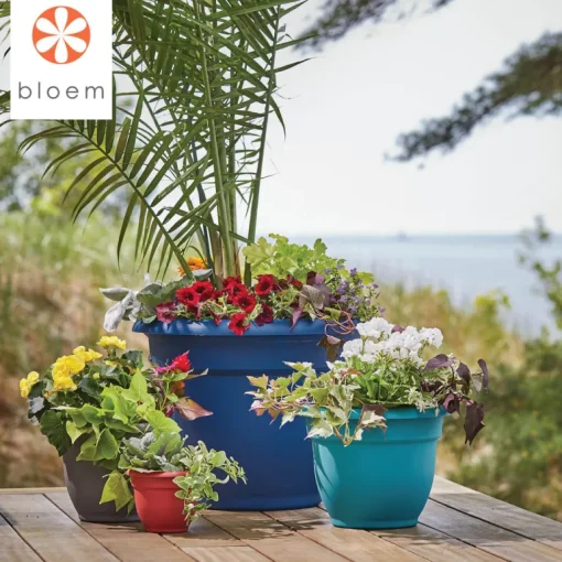Bloem 10 in. Dia. Polyresin Ariana Planter Charcoal