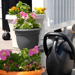 Bloem 10 in. Dia. Polyresin Ariana Planter Charcoal