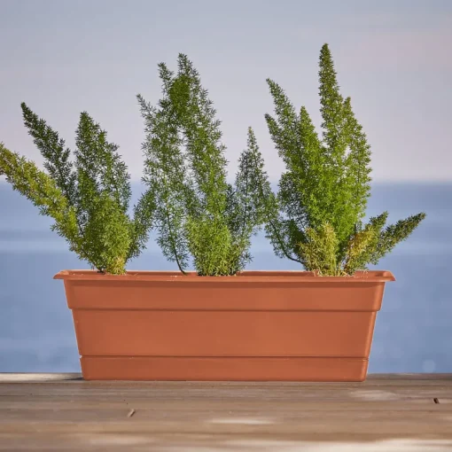 Bloem Dura Cotta 5.75 in. H X 30 in. W X 7.5 in. D Plastic Window Box Terra Cotta