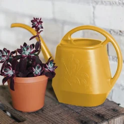 Bloem Earthly Yellow 56 oz. Plastic Aqua Rite Watering Can