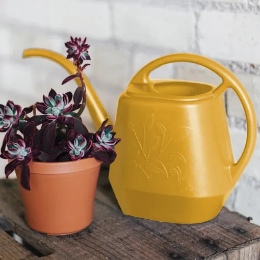 Bloem Earthly Yellow 56 oz. Plastic Aqua Rite Watering Can