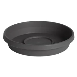 Bloem Terra 2.5 in. H X 13 in. W X 11.25 in. D Resin Traditional Plant Saucer Charcoal