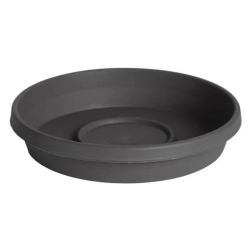 Bloem Terra 2 in. H X 11.25 in. W X 9.5 in. D Resin Traditional Plant Saucer Charcoal