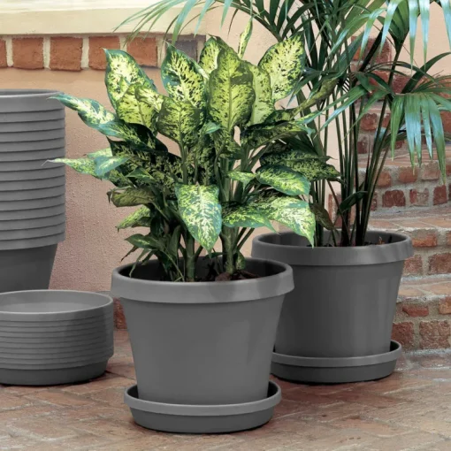 Bloem Terra 2 in. H X 11.25 in. W X 9.5 in. D Resin Traditional Plant Saucer Charcoal