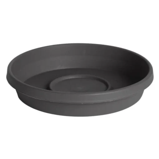 Bloem Terra 1.5 in. H X 7.5 in. W X 6.5 in. D Resin Traditional Plant Saucer Charcoal