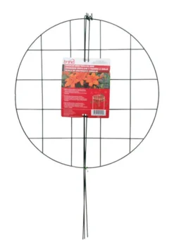 Bond 30 in. H Black Vinyl Plant Support