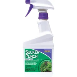 Bonide Ready to Use Water Based Sucker Punch Growth Regulator Knock Out Sprouts 1 pt.