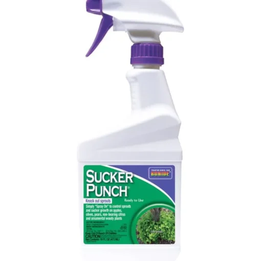 Bonide Ready to Use Water Based Sucker Punch Growth Regulator Knock Out Sprouts 1 pt.