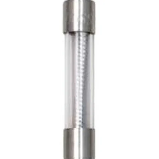 Bussmann 1 amps Time Delay Fuse 2 pk