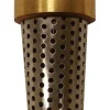 Campbell 1 in. D X 1 in. D Yellow Brass Spring Loaded Foot Valve