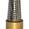 Campbell 1 in. D X 1-1/4 in. D Brass Spring Loaded Check Valve
