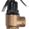 Cash Acme 3/4 in. Bronze Pressure Relief Valve