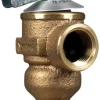Cash Acme 1/2 in. Bronze Pressure Relief Valve