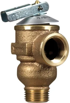 Cash Acme 1/2 in. Bronze Pressure Relief Valve