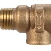 Cash Acme 3/4 in. Bronze Temperature and Pressure Relief Valve