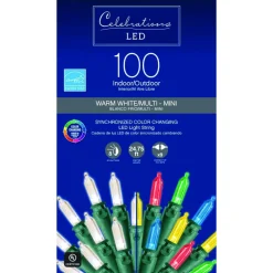 Celebrations LED Mini Multicolored 100 ct. Color Changing String Lights 24.75 ft