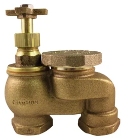 Champion Anti-Siphon Valve 3/4 in. 150 psi