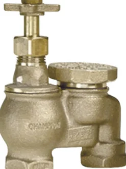 Champion Anti-Siphon Valve 3/4 in. 150 psi