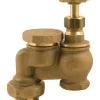 Champion Brass 150 PSI Adjustable Anti-Siphon Valve 1 in. Inlet