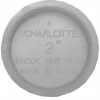 Charlotte Pipe 2 in. PVC Test Cap
