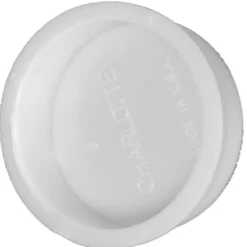 Charlotte Pipe 2 in. PVC Test Cap
