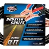 Coleman Cable 10 Ga. 12 ft. Booster Cable Top and Side Post