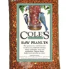 Cole's Assorted Species Raw Peanuts Wild Bird Food 10 lb