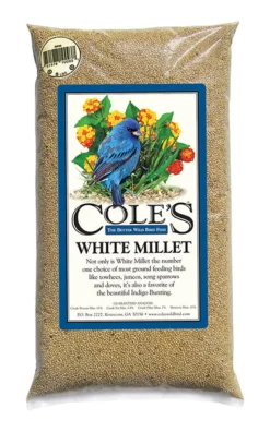 Cole's Assorted Species White Millet Wild Bird Food 20 lb