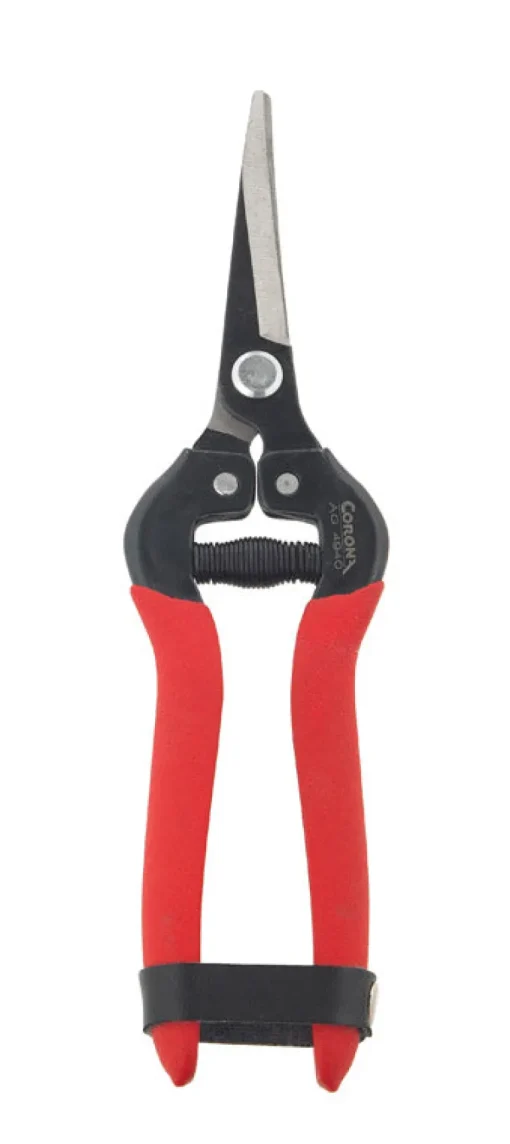 Corona Stainless Steel Tempered Pruners