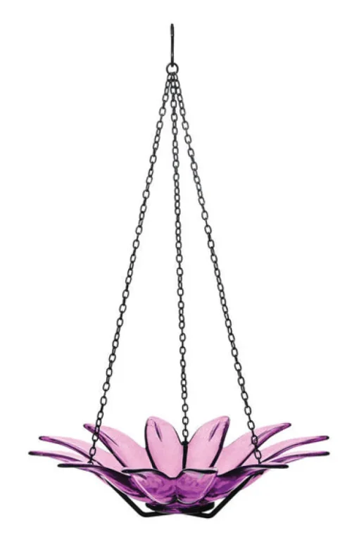 Couronne Fuchsia Wild Bird 16.9 oz. Glass Hanging Bowl Bird Feeder 1 ports