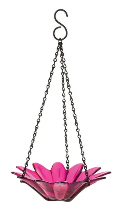 Couronne Fuchsia Wild Bird 10.1 oz. Glass Hanging Bowl Bird Feeder 1 ports
