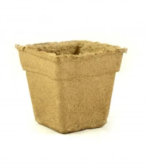 CowPots 3.75 in. H X 4 in. W X 2.5 in. L Plant Pot Seed Starter 12 pk (Pack of 12)