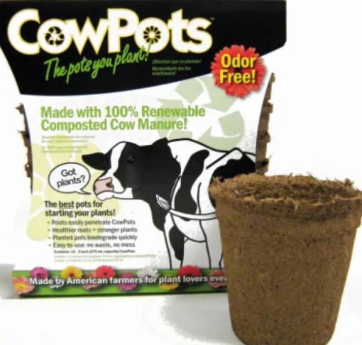 CowPots 3.37 in. H X 3.25 in. W X 2.25 in. L Plant Pot Seed Starter 12 pk (Pack of 12)