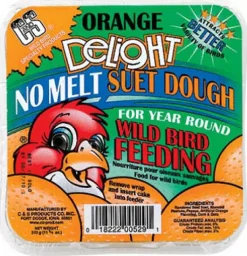 C&S CS12529 11.75 Oz Orange Delight No Melt Suet Dough Wild Bird Food (Pack of 12)