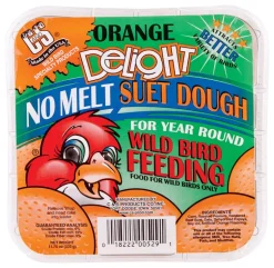 C&S CS12529 11.75 Oz Orange Delight No Melt Suet Dough Wild Bird Food (Pack of 12)