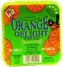 C&S CS12529 11.75 Oz Orange Delight No Melt Suet Dough Wild Bird Food (Pack of 12)
