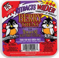 C&S Products Berry Treat Assorted Species Wild Bird Food Beef Suet 11.75 oz. (Pack of 12)
