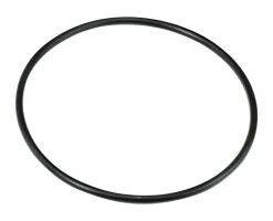 Culligan 5-3/4 in. D Rubber O-Ring 1 pk