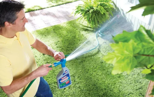 Cutter Backyard Bug Control Insect Killer 32 oz. (Pack of 6)