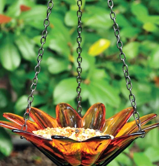 Daisy Bird Feeder Glass