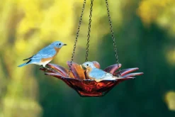 Daisy Bird Feeder Glass