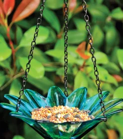 Daisy Bird Feeder Glass