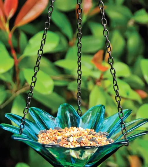 Daisy Bird Feeder Glass