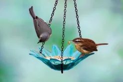 Daisy Bird Feeder Glass