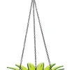 Daisy Bird Feeder Glass